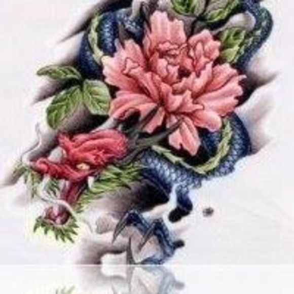 ladydragon7559
